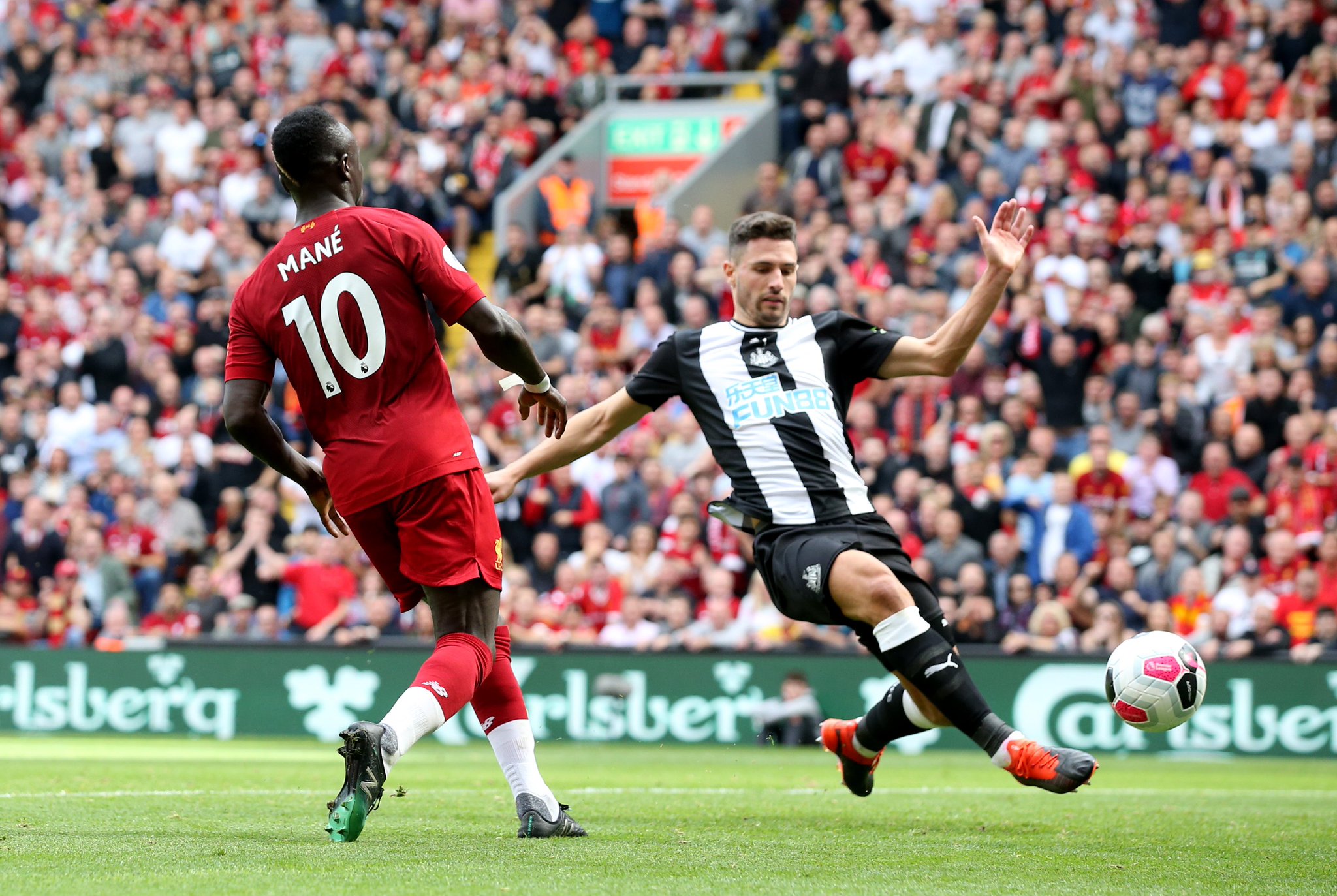 这让粉丝们 这让粉丝们